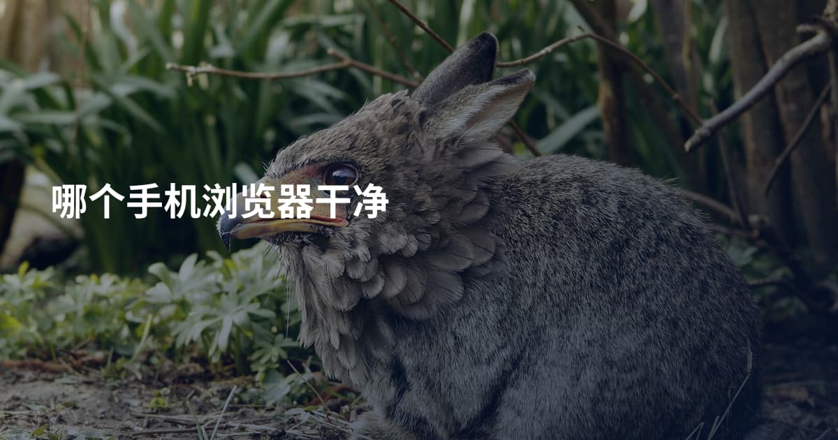 哪个手机浏览器干净
