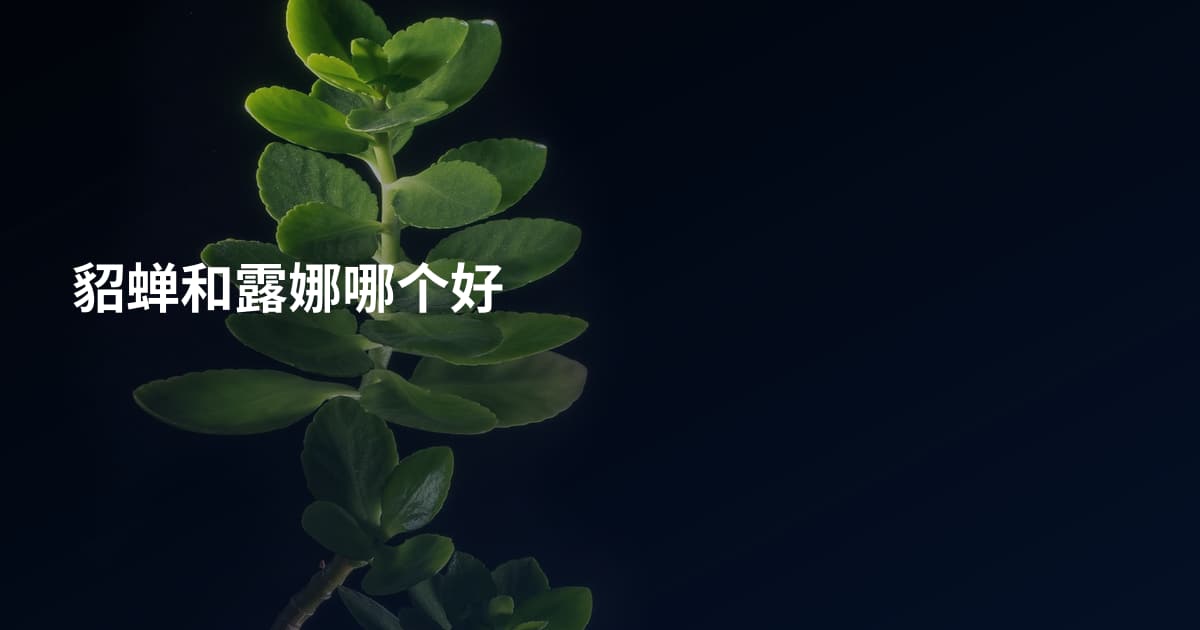 貂蝉和露娜哪个好