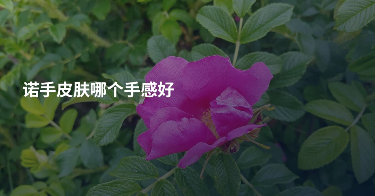 诺手皮肤哪个手感好
