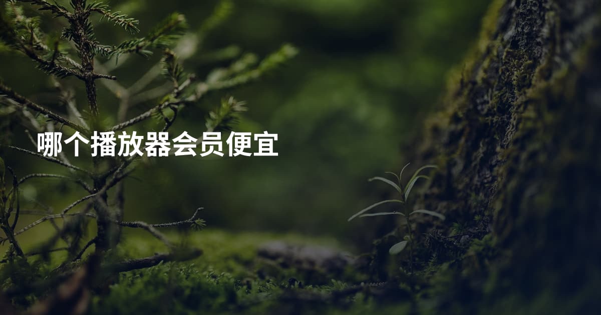 哪个播放器会员便宜