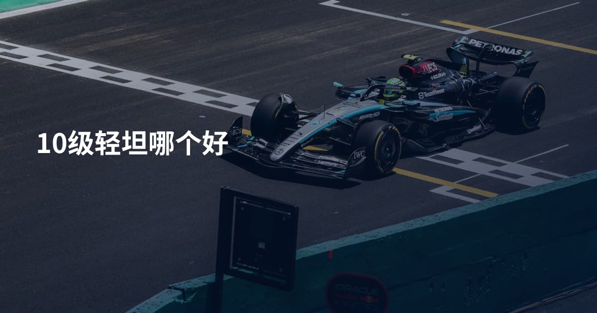 10级轻坦哪个好