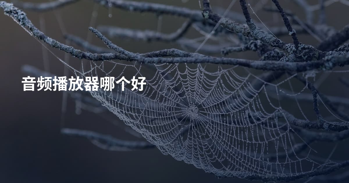 音频播放器哪个好