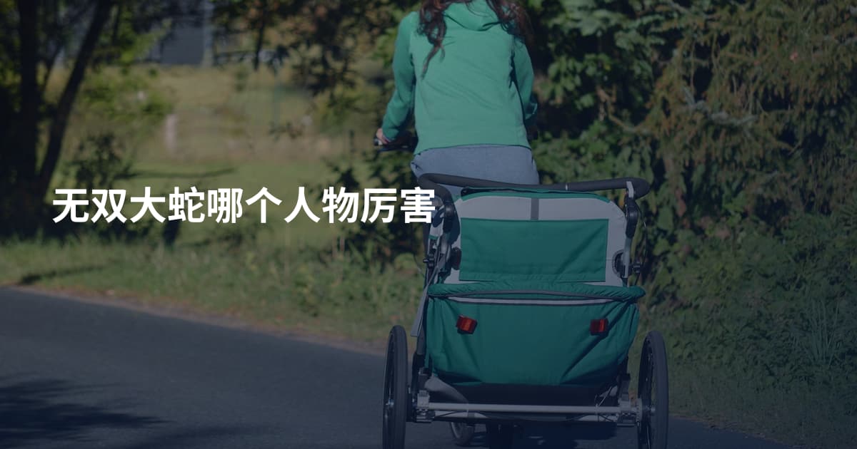 无双大蛇哪个人物厉害