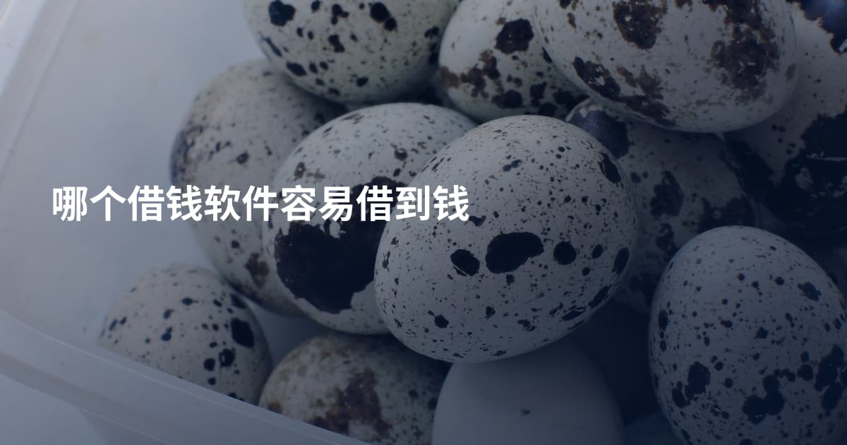 哪个借钱软件容易借到钱