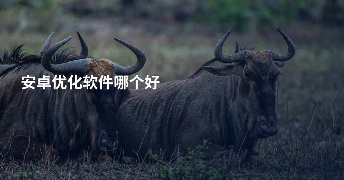 安卓优化软件哪个好