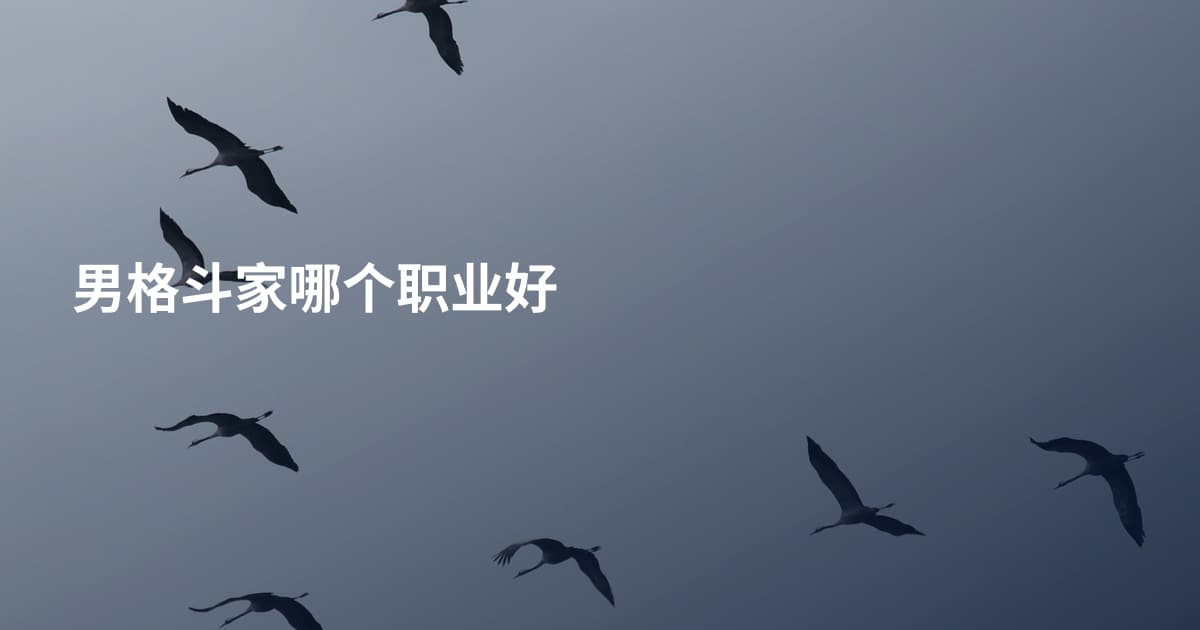 男格斗家哪个职业好