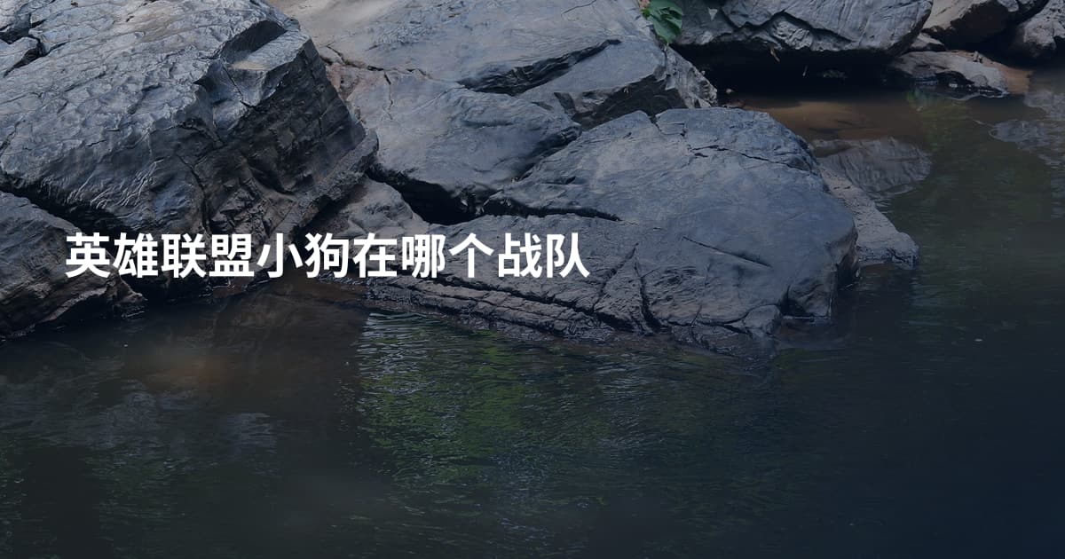英雄联盟小狗在哪个战队