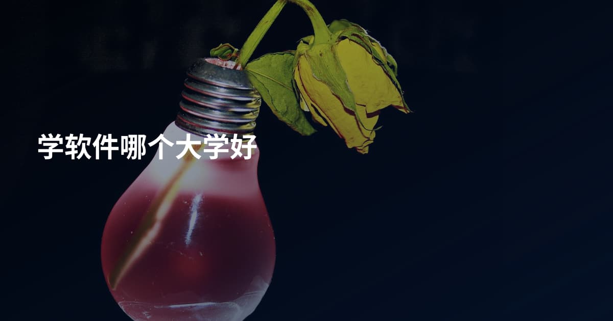 学软件哪个大学好