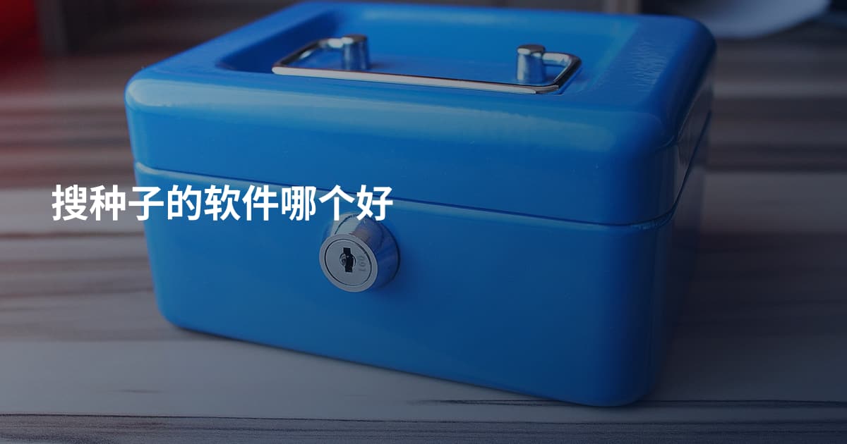 搜种子的软件哪个好