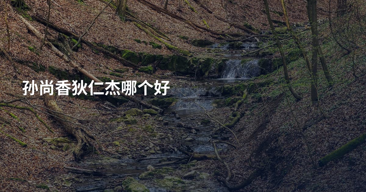 孙尚香狄仁杰哪个好