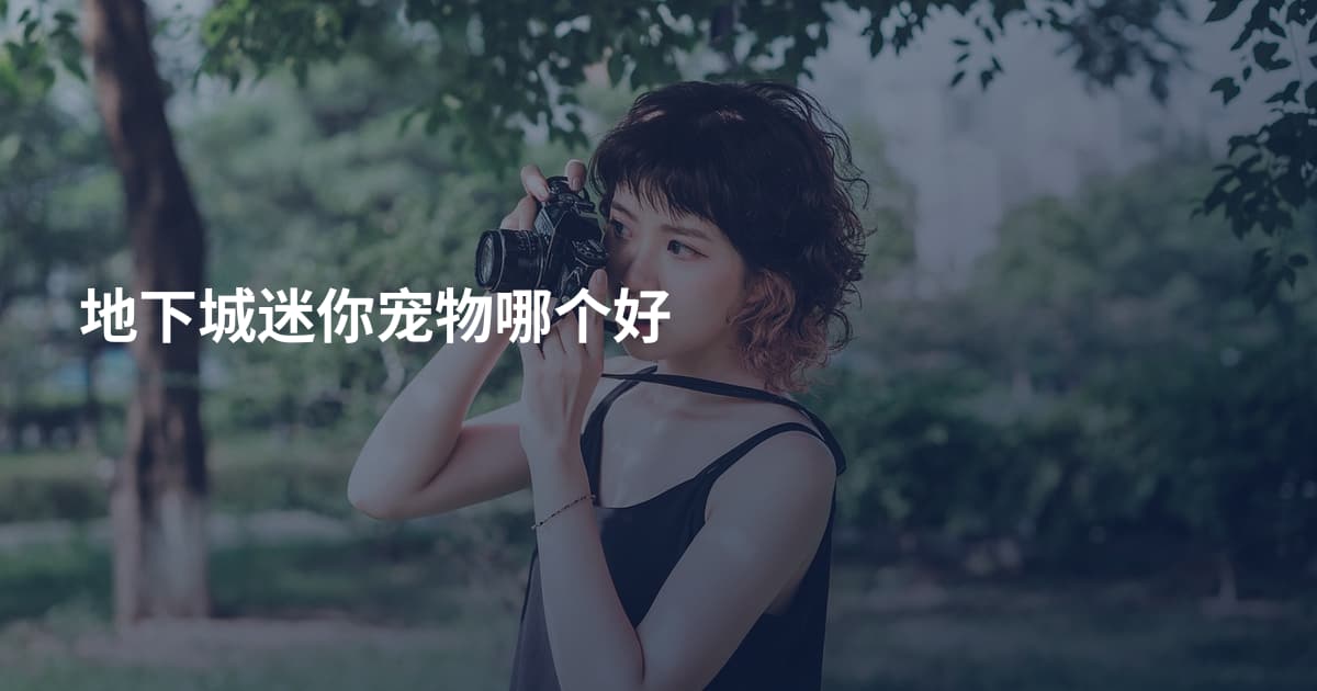地下城迷你宠物哪个好