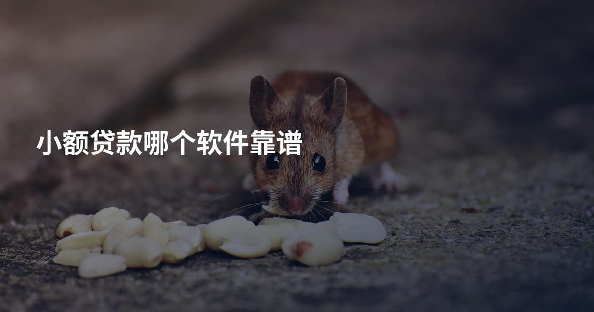 小额贷款哪个软件靠谱