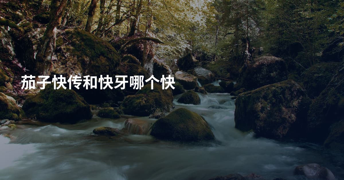 茄子快传和快牙哪个快