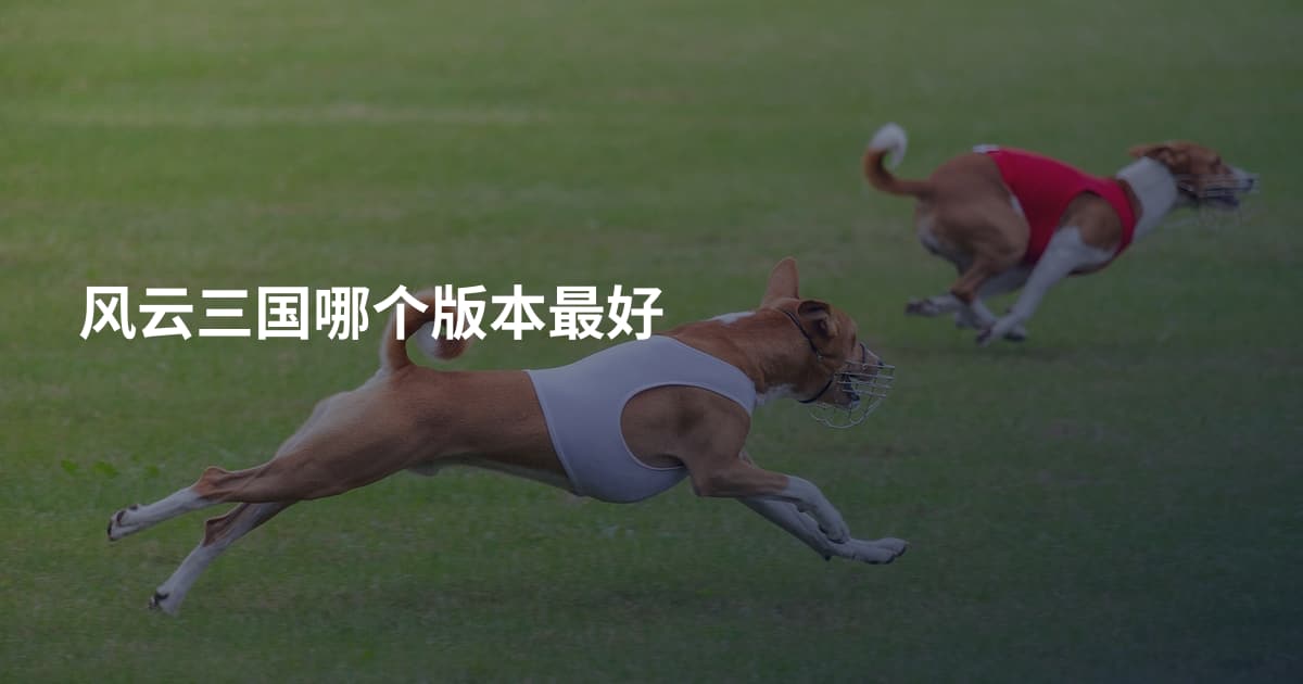 风云三国哪个版本最好