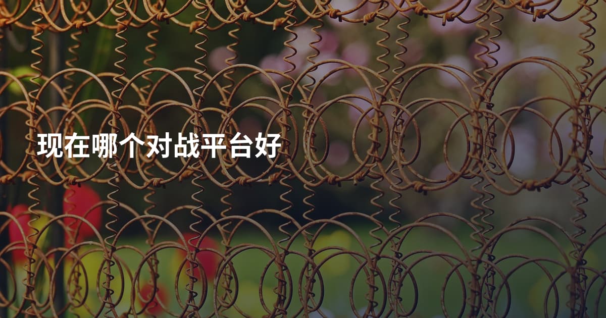 现在哪个对战平台好
