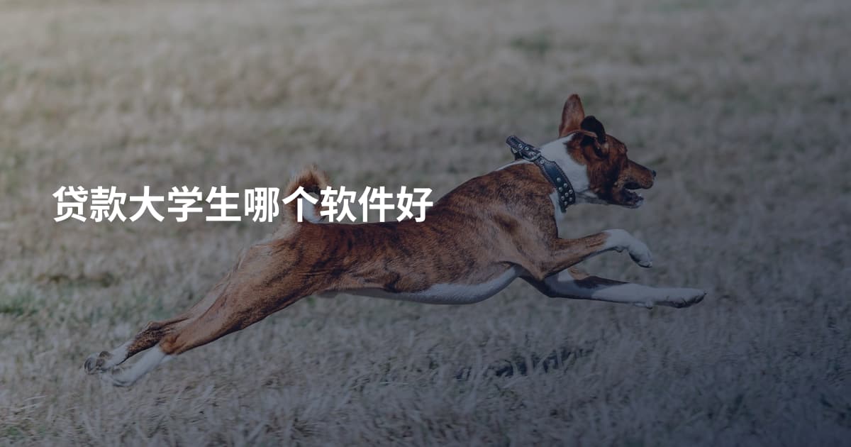贷款大学生哪个软件好