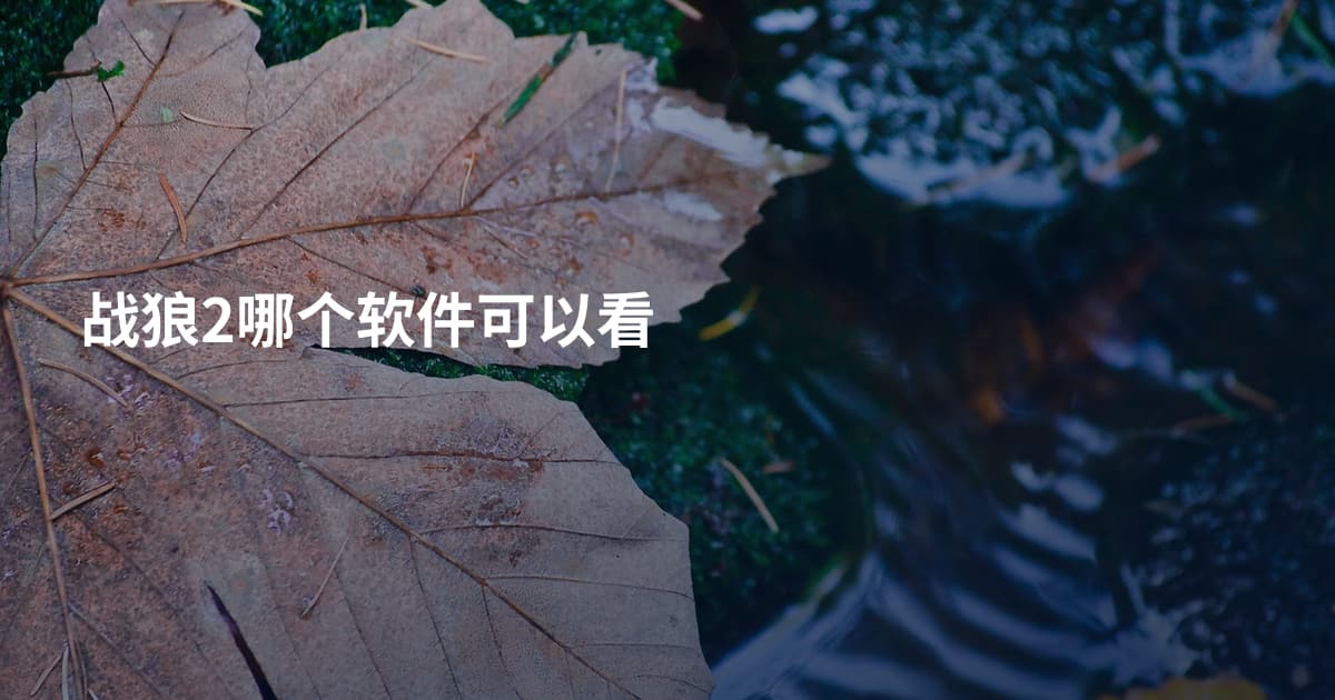 战狼2哪个软件可以看