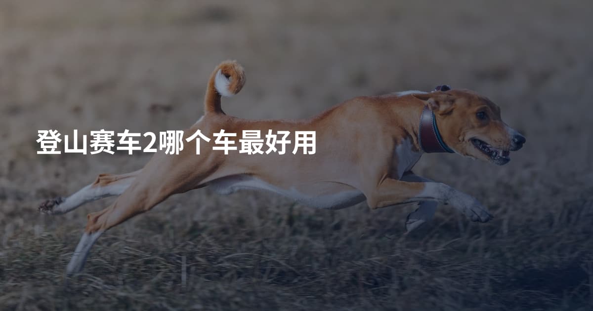 登山赛车2哪个车最好用