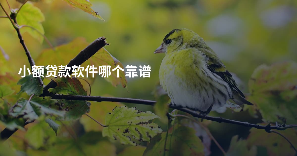 小额贷款软件哪个靠谱