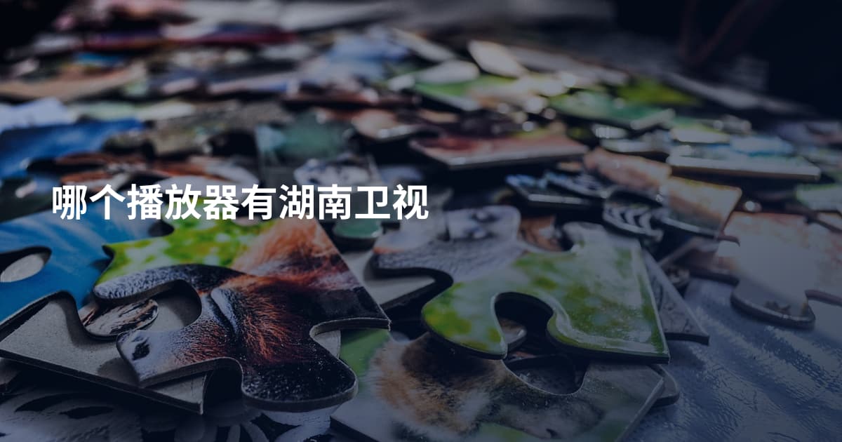 哪个播放器有湖南卫视