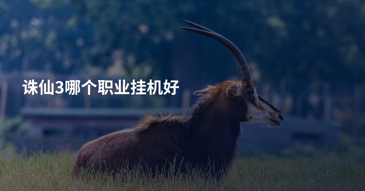 诛仙3哪个职业挂机好