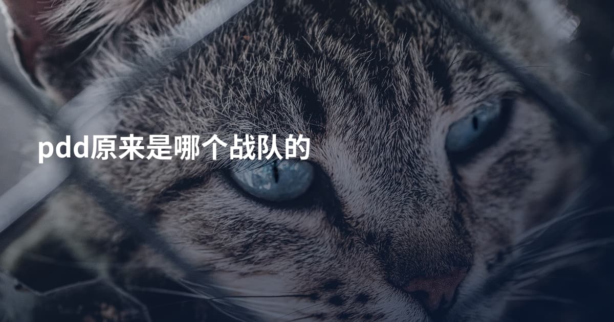 pdd原来是哪个战队的