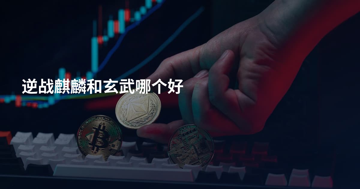 逆战麒麟和玄武哪个好