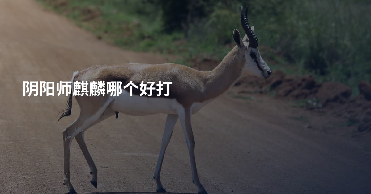 阴阳师麒麟哪个好打