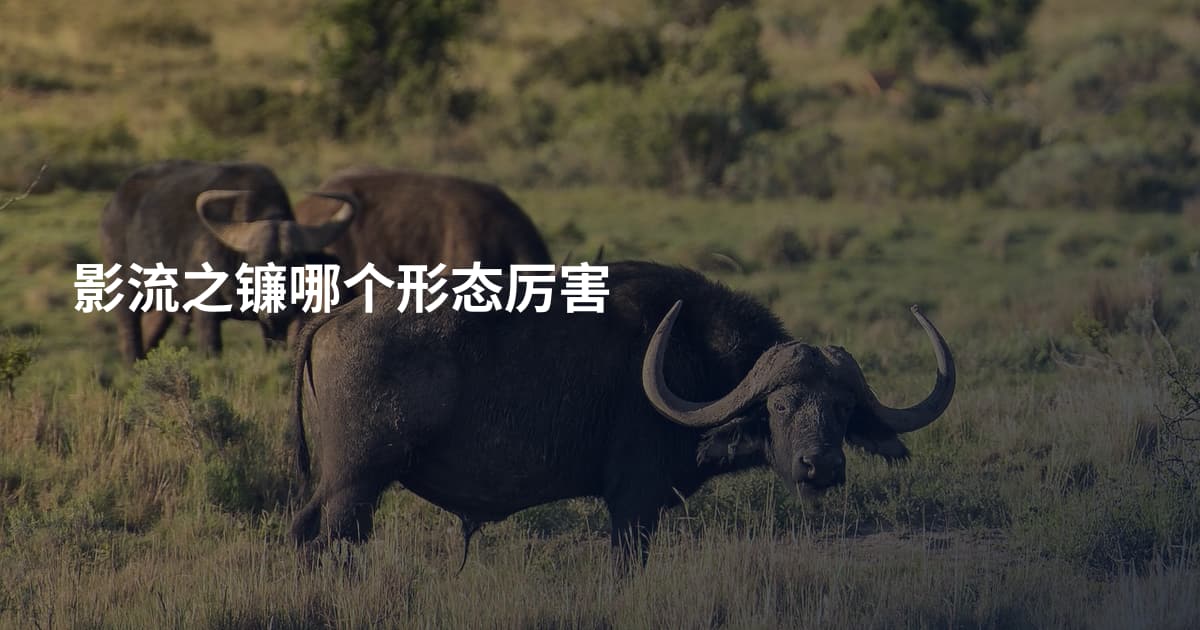 影流之镰哪个形态厉害