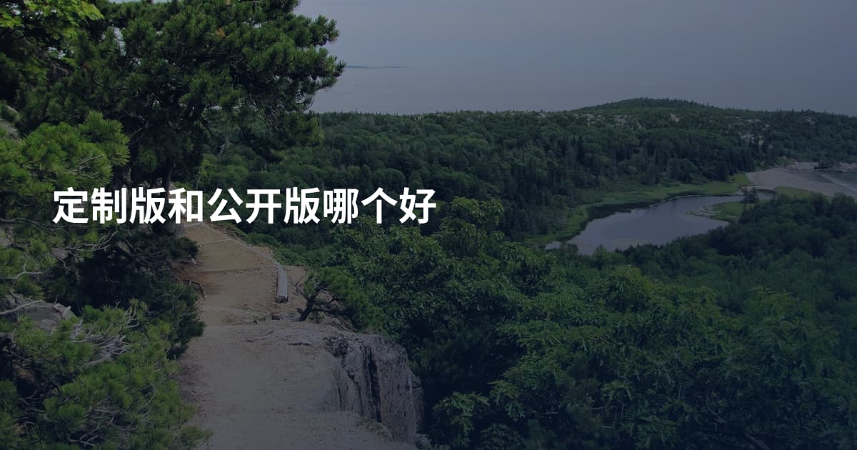 定制版和公开版哪个好