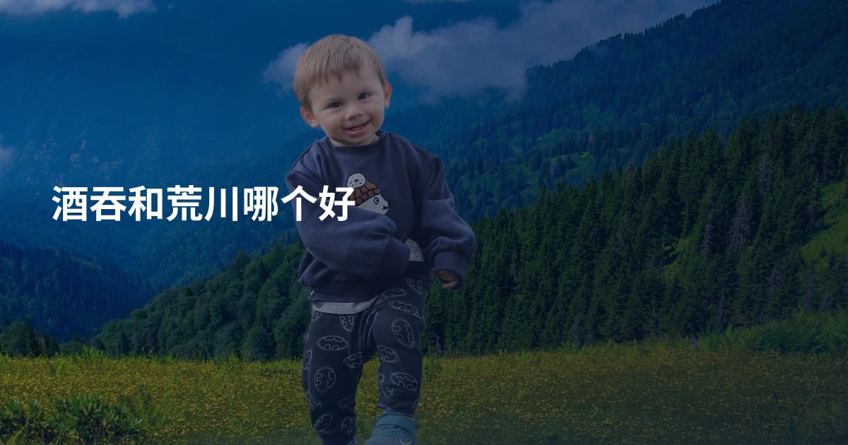 酒吞和荒川哪个好