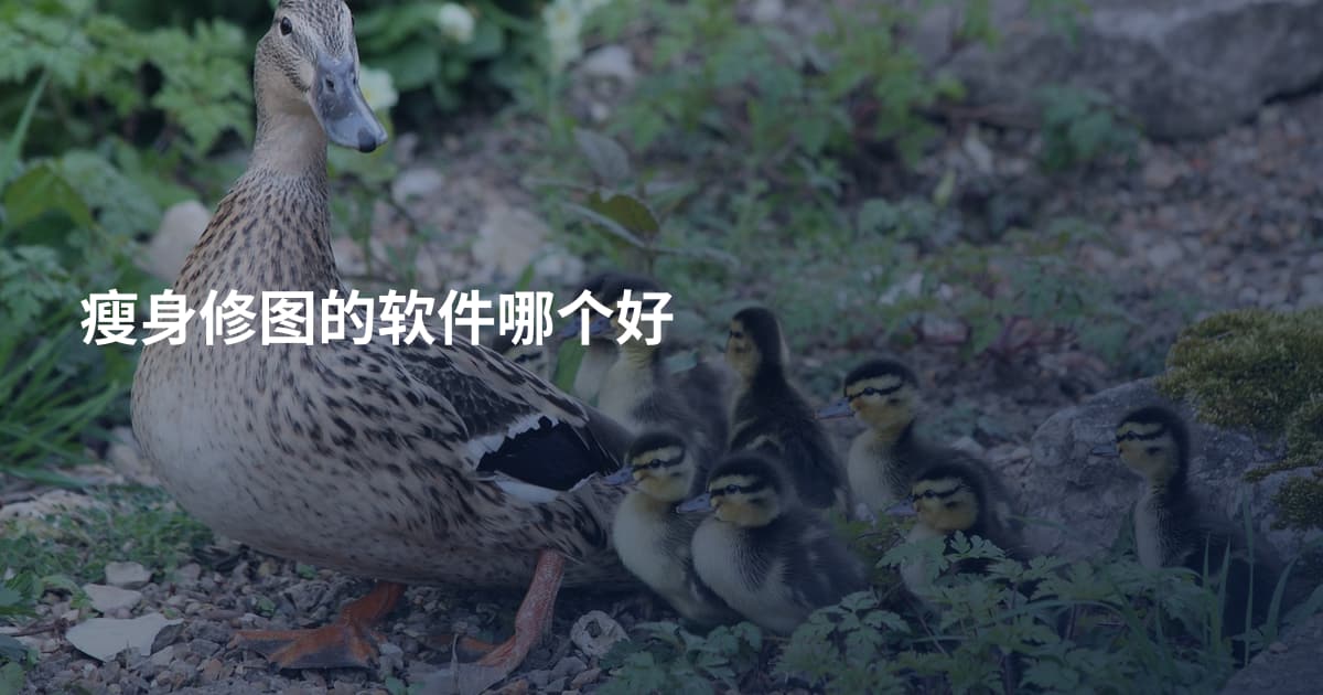 瘦身修图的软件哪个好