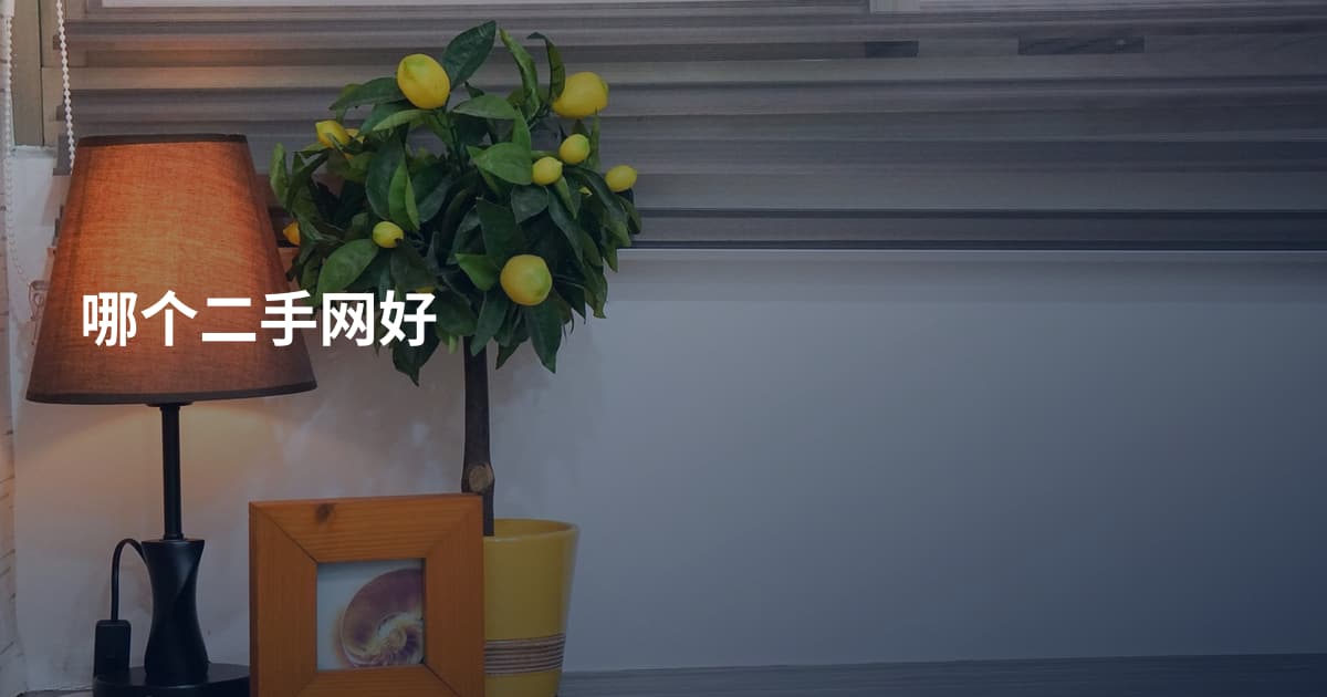 哪个二手网好