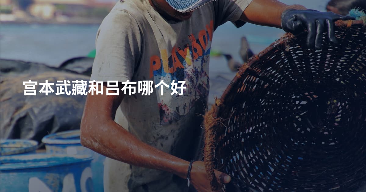 宫本武藏和吕布哪个好