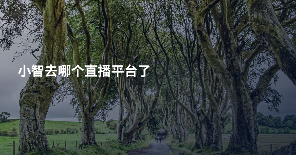 小智去哪个直播平台了