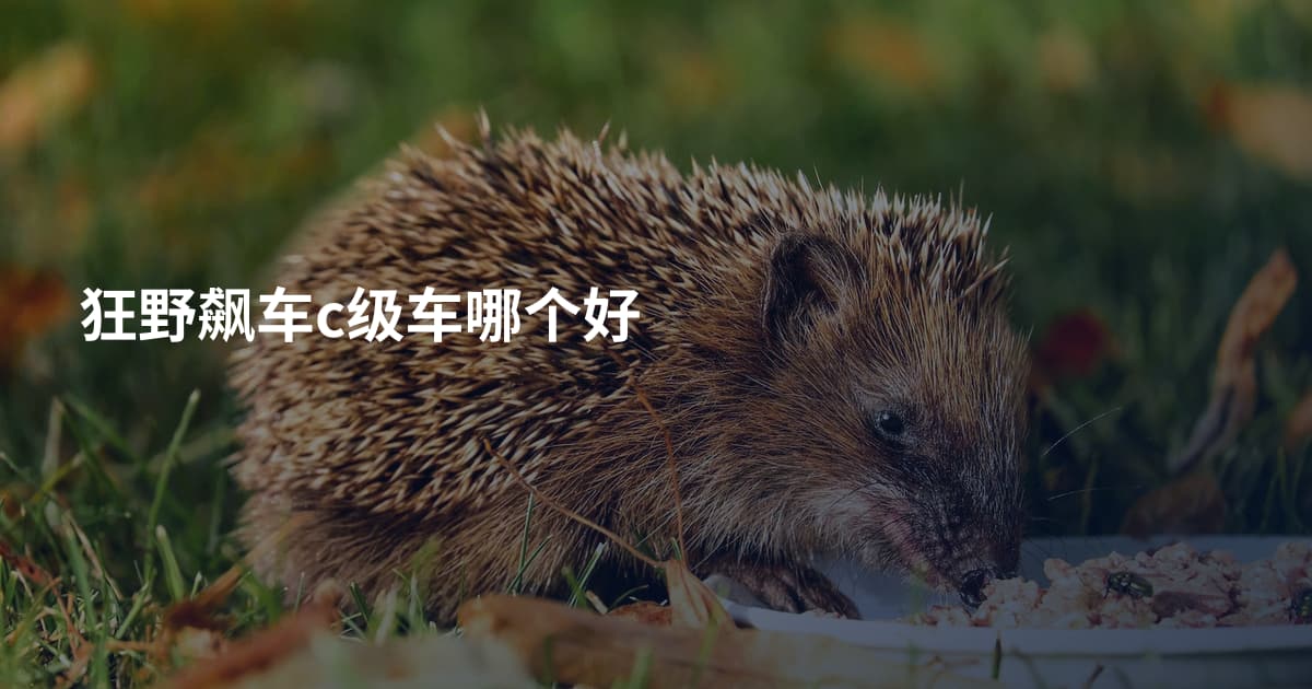 狂野飙车c级车哪个好
