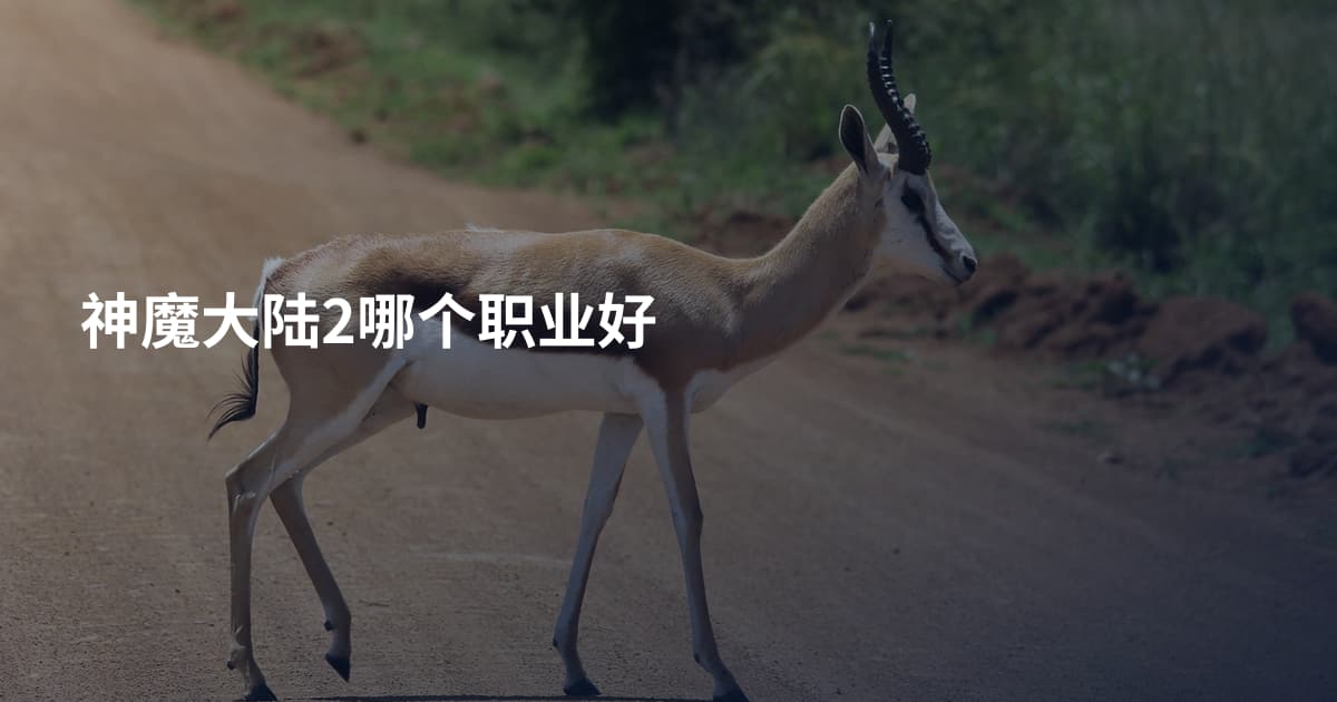 神魔大陆2哪个职业好