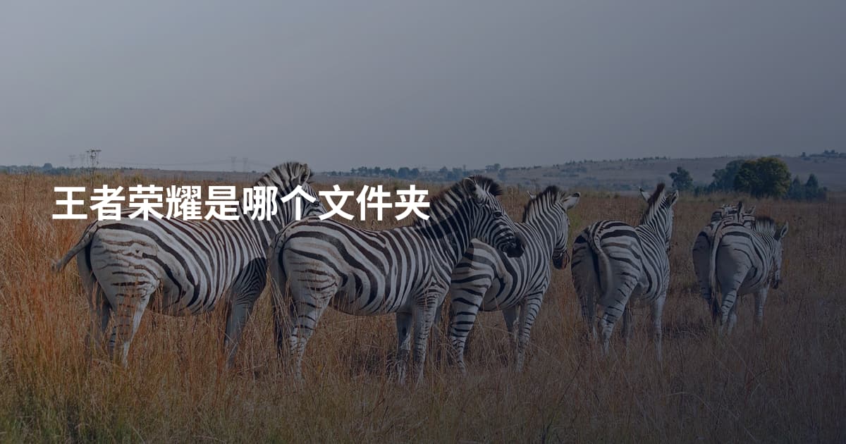 王者荣耀是哪个文件夹