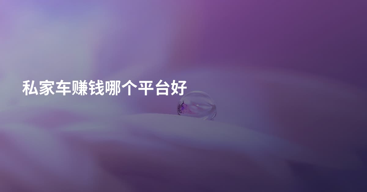 私家车赚钱哪个平台好