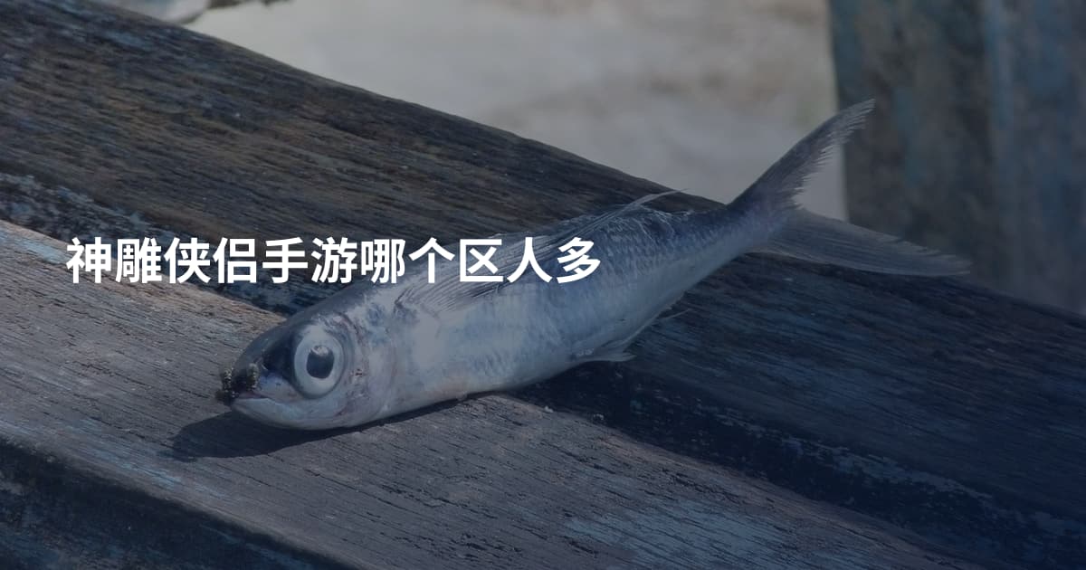 神雕侠侣手游哪个区人多
