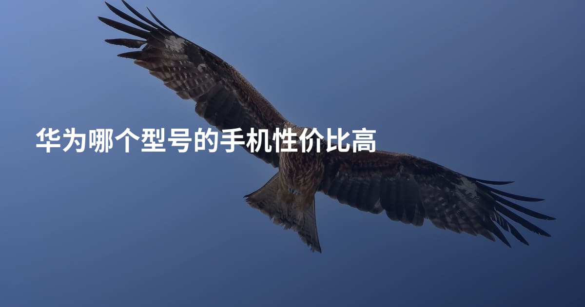 华为哪个型号的手机性价比高