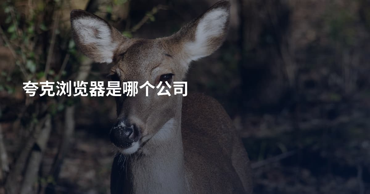 夸克浏览器是哪个公司