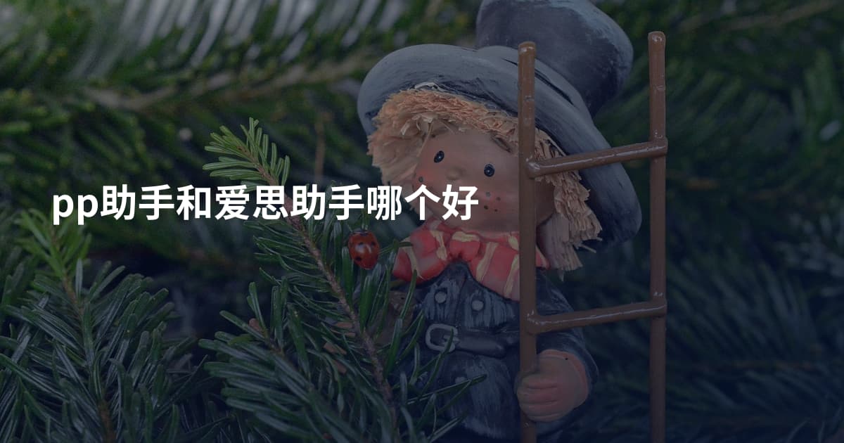 pp助手和爱思助手哪个好