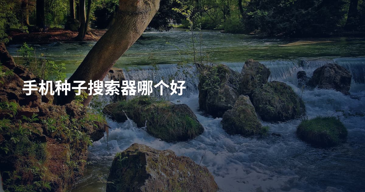 手机种子搜索器哪个好