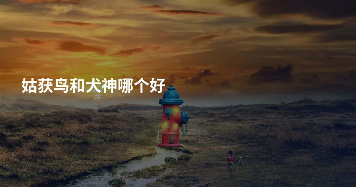 姑获鸟和犬神哪个好
