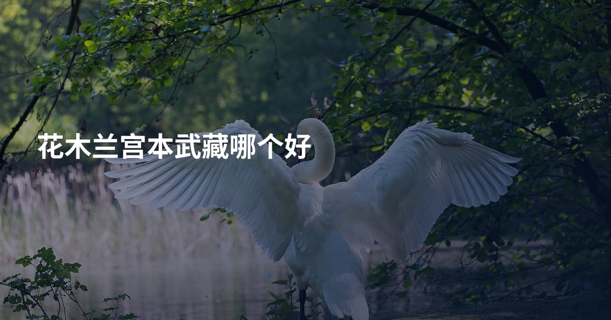 花木兰宫本武藏哪个好