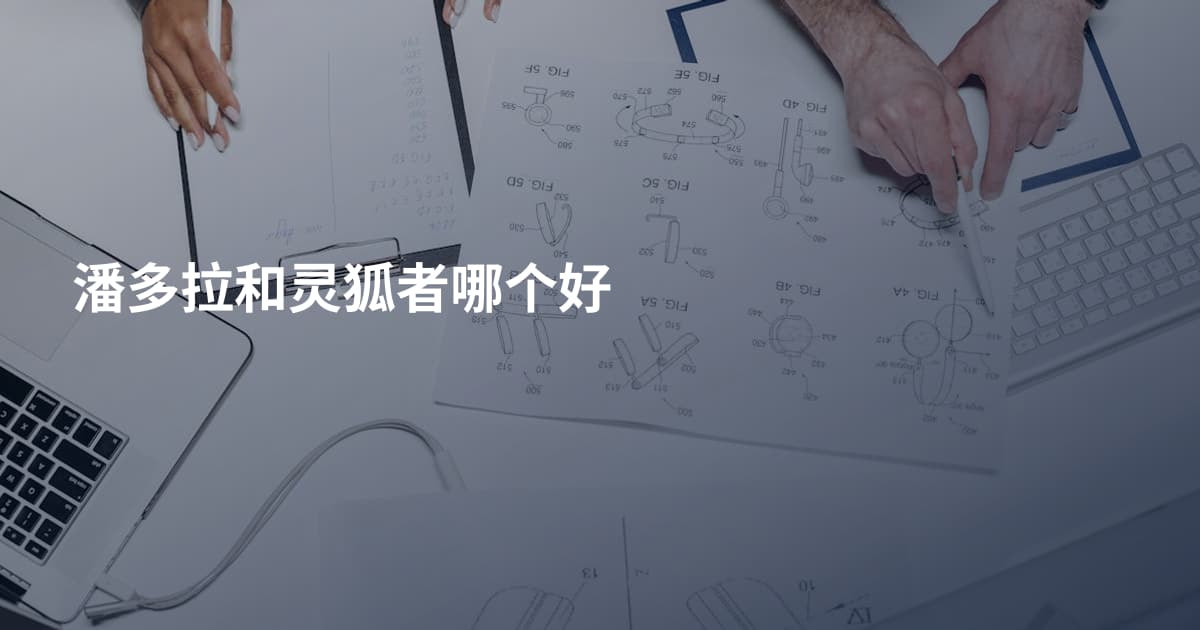 潘多拉和灵狐者哪个好
