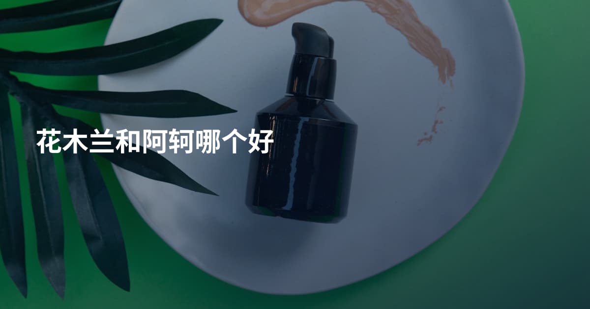 花木兰和阿轲哪个好