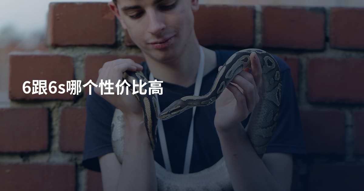6跟6s哪个性价比高