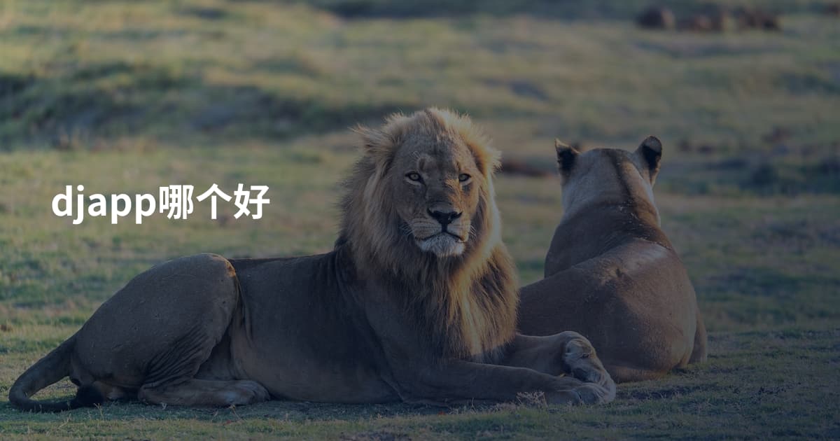djapp哪个好